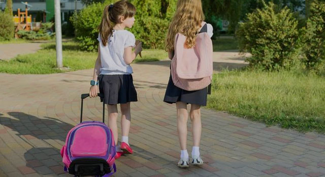 کیف چرخ دستی
